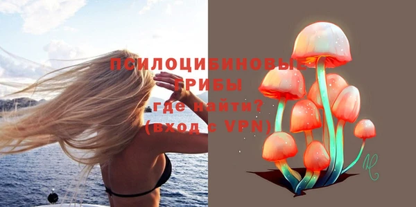 ECSTASY Алзамай