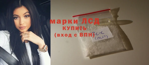 ECSTASY Алзамай