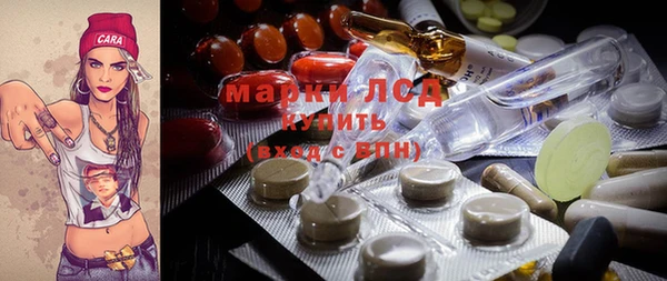 ECSTASY Алзамай