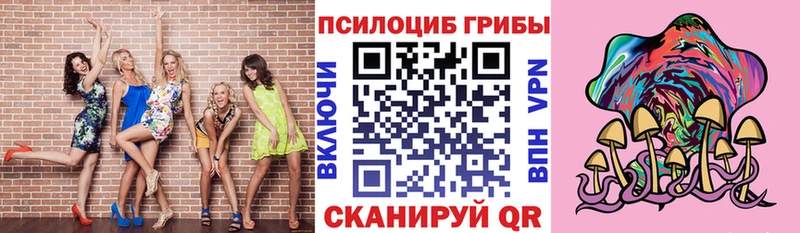 Псилоцибиновые грибы Psilocybine cubensis  сайты даркнета клад  Истра  blacksprut ТОР 