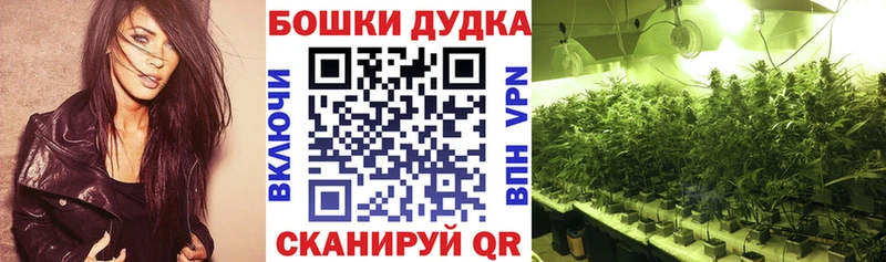 Канабис тримм  мега вход  Истра 